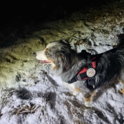 Einsatz 15.01.2024