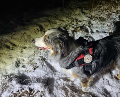 Einsatz 15.01.2024