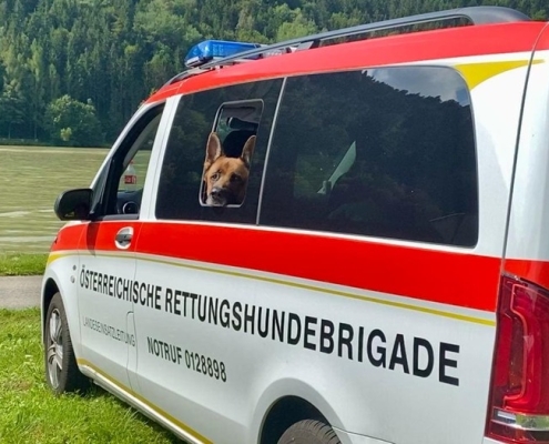 Einsatz Rohrbach 29.03.2024