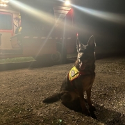 Einsatz Weyer 31.03.2024