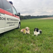 Einsatz 03.10.2024