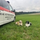 Einsatz 03.10.2024