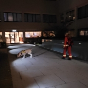 EINSATZ