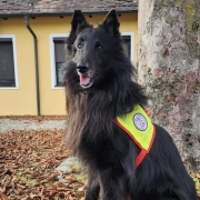 4. Landesprüfung