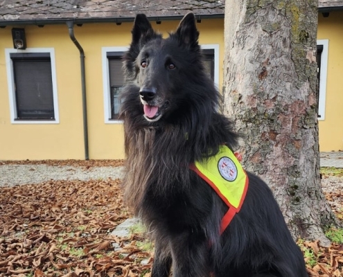 4. Landesprüfung