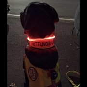 Einsatz 05.12.2024