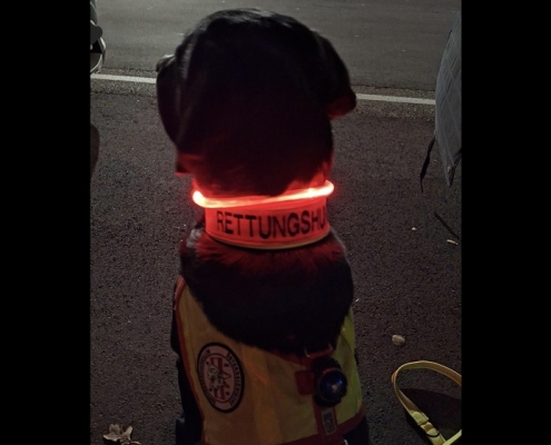Einsatz 05.12.2024