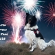 Silvester ÖRHB 2025