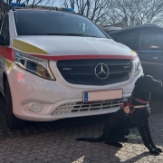 Einsatz 24.02.2025