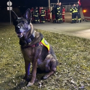 Einsatz 09.03.2025