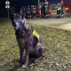Einsatz 09.03.2025