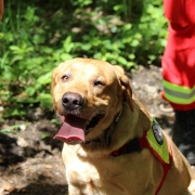 Einsatz 10.06.2025