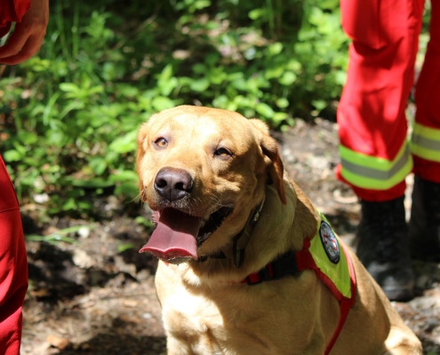 Einsatz 10.06.2025