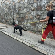Einsatz 17.08.2025
