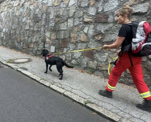 Einsatz 17.08.2025