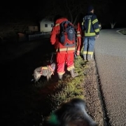 Einsatz Reichenau
