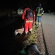 Einsatz Reichenau
