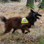 Einsatz Gmunden