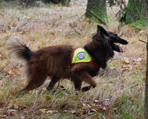 Einsatz Gmunden